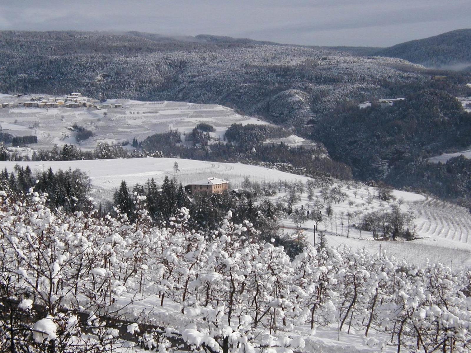 Locanda Alpina Brez Zewnętrze zdjęcie