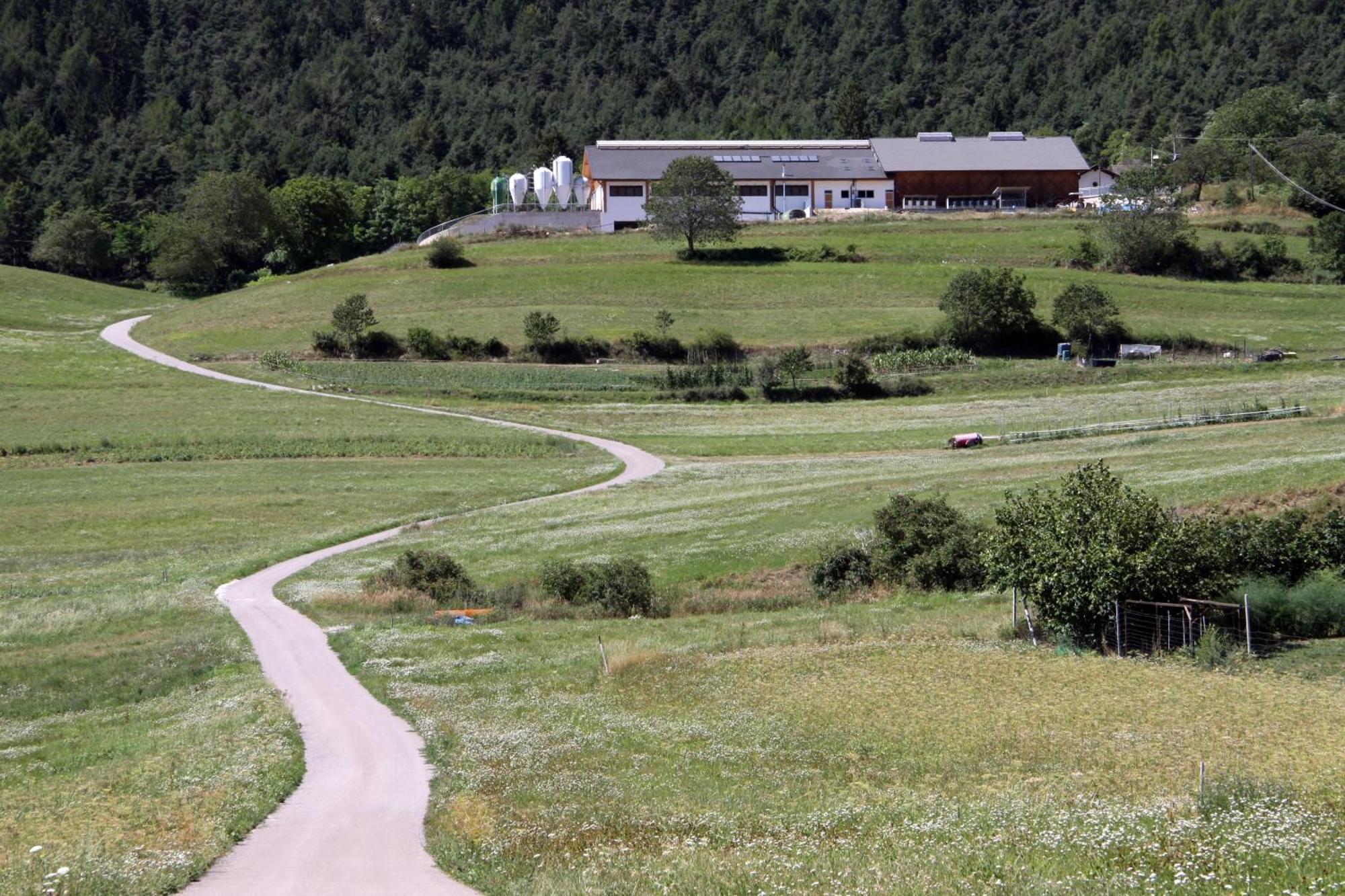 Locanda Alpina Brez Zewnętrze zdjęcie